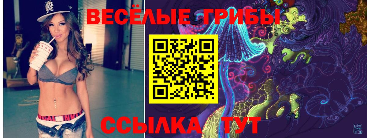 Псилоцибиновые грибы Psilocybe Братск