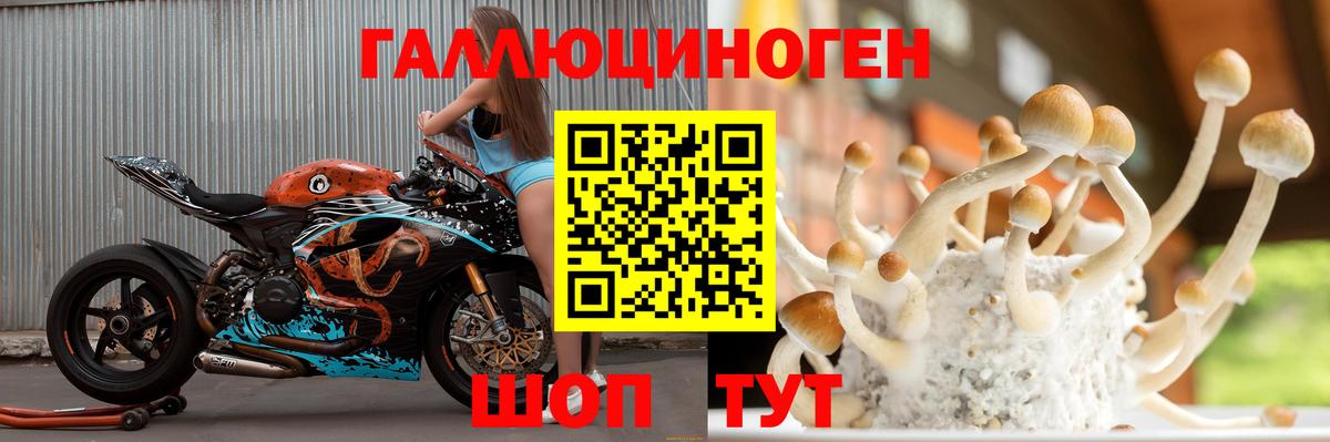 NBOMe Братск
